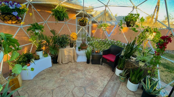 From Backyard Dreams to Blooming Reality: Choosing the Right Greenhouse Kit for Your Garden